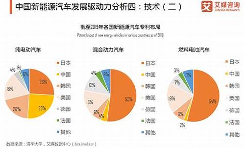 生产新能源汽车的风险_生产新能源汽车的风险有哪些